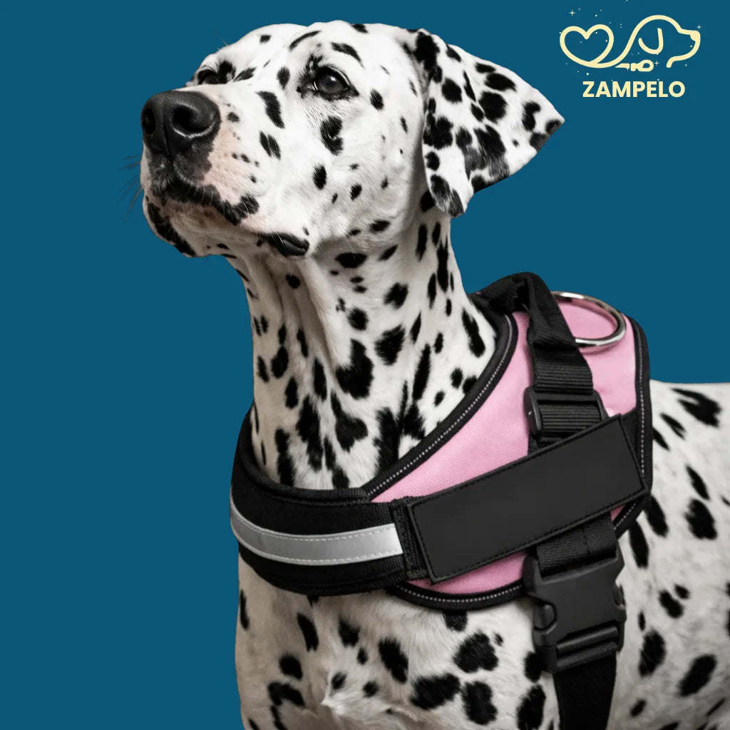 Pettorina anti tiro per cani – Taglie piccole e grandi